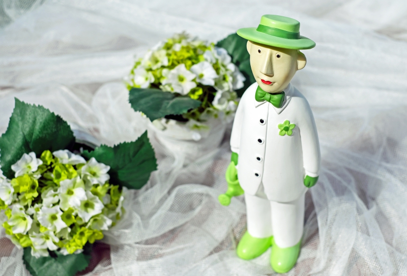 vitrine-AUVARE-min_man-person-flower-green-toy-fig-546529-pxhere.com